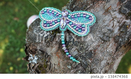 Beaded Dragonfly Brooch Jewelry on Tree Bark Close Up 138474368