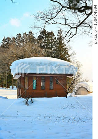 雪に包まれた栃尾の杜々の森(新潟県長岡市栃尾) 雪に包まれた栃尾の杜々の森(新潟県長岡市栃尾) 138474994