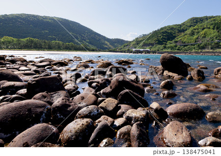 宮崎県日南市山王の磯海岸を走る特急海幸山幸 宮崎県日南市山王の磯海岸を走る特急海幸山幸 138475041