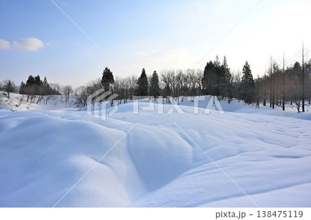 朝の光に包まれた雪原(新潟県長岡市) 朝の光に包まれた雪原(新潟県長岡市) 138475119
