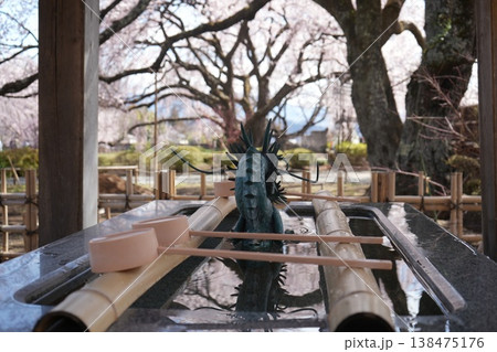 山梨県 神代公園 山高神代桜の風景 138475176