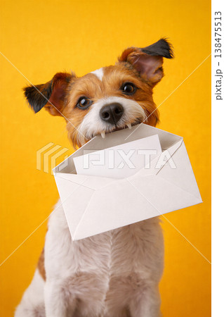 Happy Puppy Carrying A White Envelope Happy Puppy Carrying A White Envelope 138475513