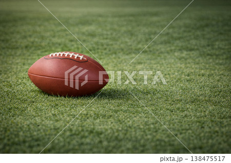 Lone Football Resting On Grassy Field 138475517