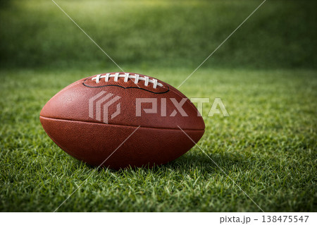 Brown Leather Football On A Grassy Field Brown Leather Football On A Grassy Field 138475547