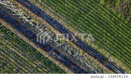 Drone View of Farmland with Crop Patterns Drone View of Farmland with Crop Patterns 138476119