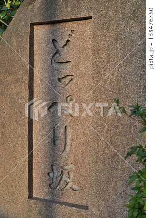 古町の歴史あるどっぺり坂(新潟県新潟市中央区) 古町の歴史あるどっぺり坂(新潟県新潟市中央区) 138476380