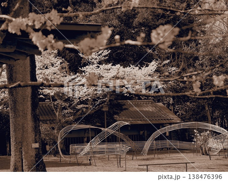 桜のある風景 桜のある風景 138476396
