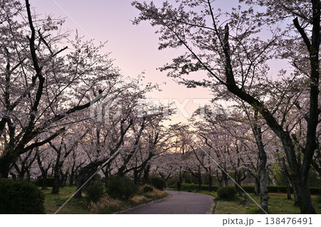 桜のある風景 桜のある風景 138476491