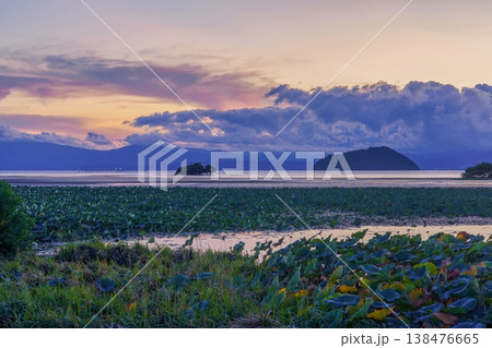 夕暮れ時の琵琶湖と蓮の葉が広がる幻想的な風景 夕暮れ時の琵琶湖と蓮の葉が広がる幻想的な風景 138476665
