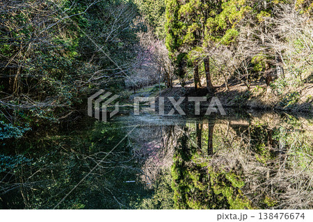 日龍峯寺・高澤観音の風景 日龍峯寺・高澤観音の風景 138476674