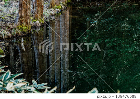 日龍峯寺・高澤観音の風景 日龍峯寺・高澤観音の風景 138476689