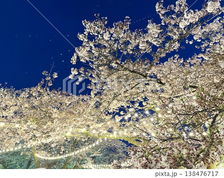 ライトアップされた夜桜 ライトアップされた夜桜 138476717
