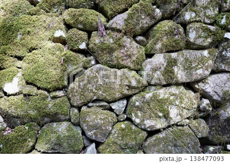 苔むした石垣 苔むした石垣 138477093