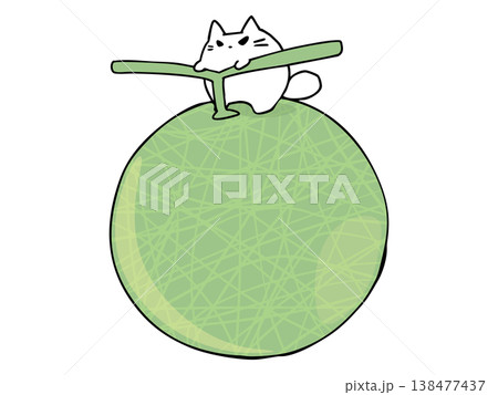 メロン 網目 ねこ 138477437