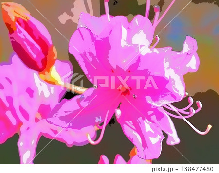 春光注ぐ、つつじの花と蕾(afr20260327153859) 春光注ぐ、つつじの花と蕾(afr20260327153859) 138477480