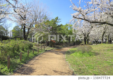 春のしょうぶ沼公園 東京都足立区谷中 春のしょうぶ沼公園 東京都足立区谷中 138477724