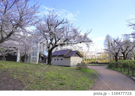 春のしょうぶ沼公園　東京都足立区谷中 　 138477728