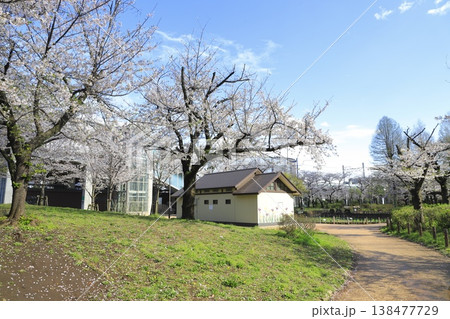 春のしょうぶ沼公園　東京都足立区谷中 　 138477729