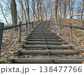 公園の遊歩道 森へ続く木製階段 ステップアップのイメージ 138477766