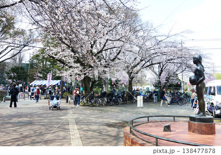 東京都府中市の寿中央公園2026(市民プール前) 東京都府中市の寿中央公園2026(市民プール前) 138477878