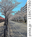 桜満開 138477980