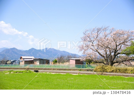 入谷の風景 入谷の風景 138478416