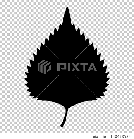 Illustration of a shiso leaf; includes copy space; transparent background; monochrome. Illustration of a shiso leaf; includes copy space; transparent background; monochrome. 138478589