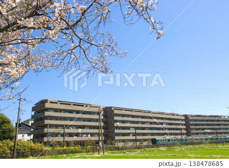 桜と相模原線 138478685