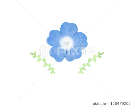 春の花 ネモフィラ 水彩画風 春の花 ネモフィラ 水彩画風 138479203