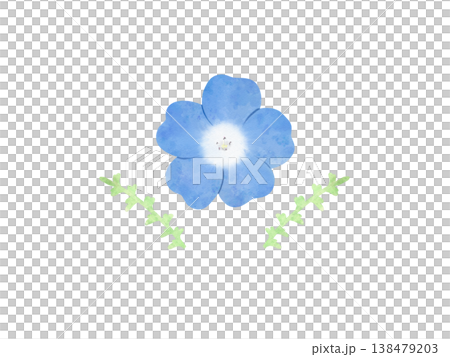 春の花 ネモフィラ 水彩画風 春の花 ネモフィラ 水彩画風 138479203