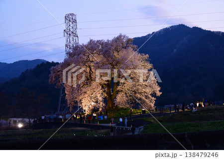 春のライトアップされた夜桜 <わに塚のサクラ> 春のライトアップされた夜桜 <わに塚のサクラ> 138479246