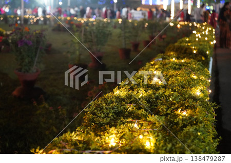 Golden string lights on green hedge at night in park with blurred background Golden string lights on green hedge at night in park with blurred background 138479287