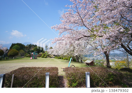 宮崎県小林市の永田平公園の桜 宮崎県小林市の永田平公園の桜 138479302