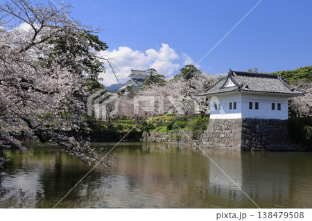 日本の春 小田原城の天守閣と桜並木 138479508