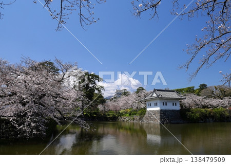 日本の春 小田原城の天守閣と桜並木 138479509