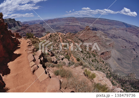 グランドキャニオンのサウス・カイバ・トレイルのOohAahポイントからシダーリッジへのの眺め 138479736