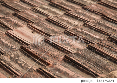 A high-angle, close-up shot of old, overlapping clay roof tiles with visible aging and moss 138479824