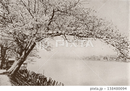 古写真 1894年 東京 隅田川沿いの桜並木 古写真 1894年 東京 隅田川沿いの桜並木 138480094