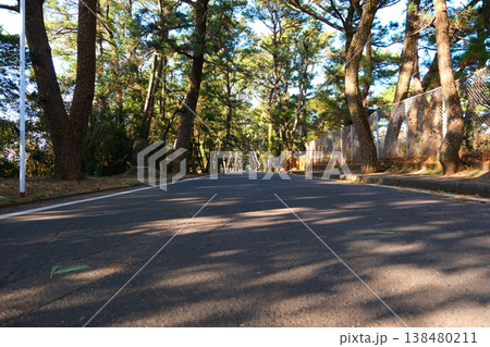 長崎県の五島列島 小値賀島の姫の松原と志々伎神社の剣 長崎県の五島列島 小値賀島の姫の松原と志々伎神社の剣 138480211