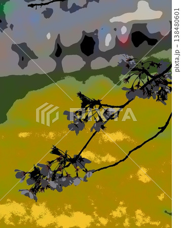 花を見て春を感じるとき 花を見て春を感じるとき 138480601