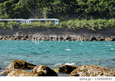 宮崎県日南市山王の磯海岸を走る特急海幸山幸 宮崎県日南市山王の磯海岸を走る特急海幸山幸 138480692