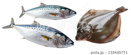 ぷっちぴちの鮮魚2種　平目と鯖　firefly生成 138480751