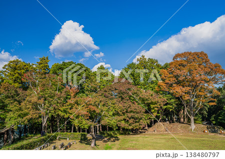 浜松市の二俣城跡の風景(静岡県) 浜松市の二俣城跡の風景(静岡県) 138480797