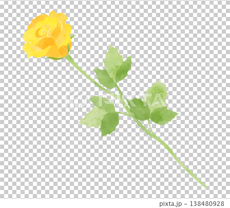 Illustration of a yellow rose, watercolor style. Illustration of a yellow rose, watercolor style. 138480928