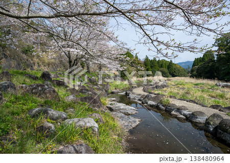 菊池の桜の名所 菊池の桜の名所 138480964