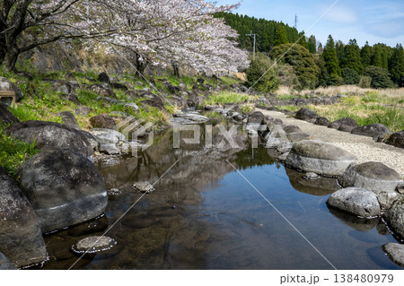 菊池の桜の名所 菊池の桜の名所 138480979