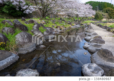 菊池の桜の名所 菊池の桜の名所 138480987