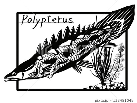 古代魚ポリプテルス何とカッコイイ魚恐竜を思い起こさせる切り絵貼り絵イラスト 138481049