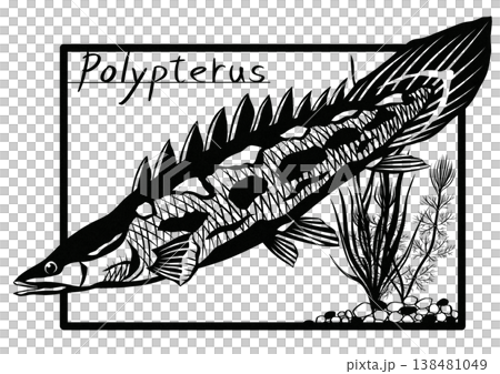 古代魚ポリプテルス何とカッコイイ魚恐竜を思い起こさせる切り絵貼り絵イラスト 138481049