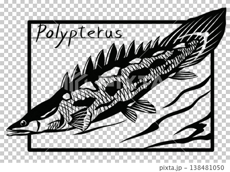 Look at this fish, it's a dinosaur, right? A cool paper-cut collage illustration of a Polypterus. 138481050